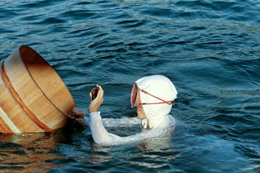 The Ama Divers pearl oysters