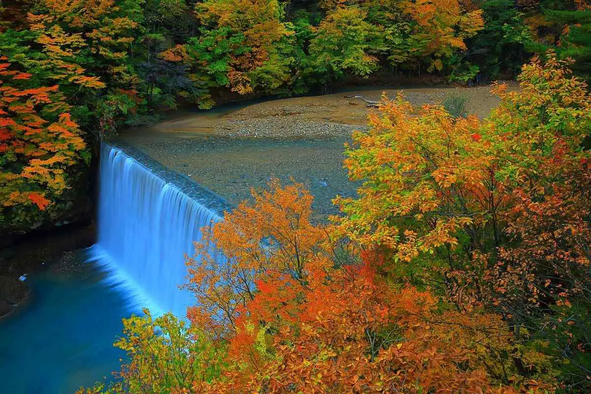 Fall Colors of Japan: 12 Best Destinations for Kōyō (Colorful Leaves)
