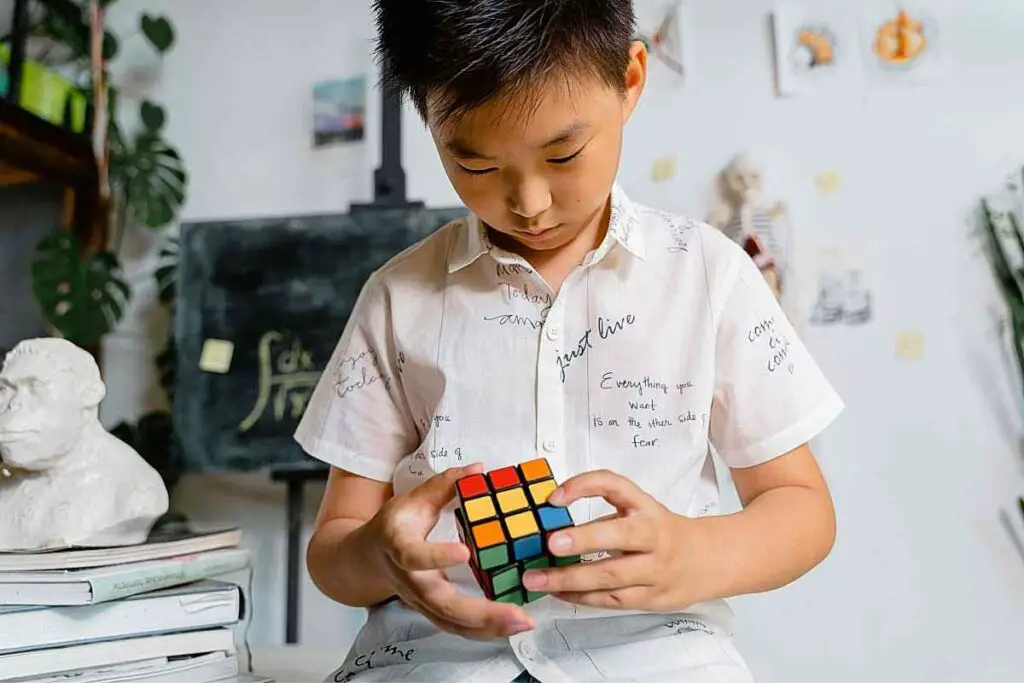 Japanese Rubik's Cubes