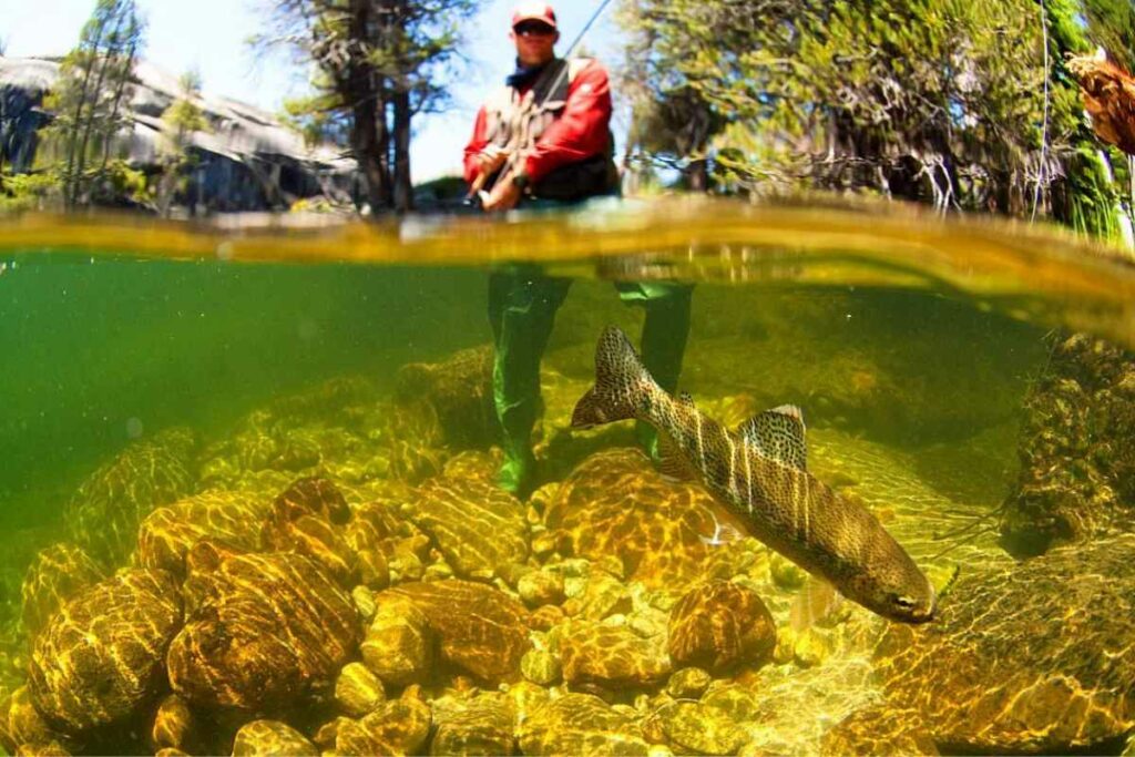 Tenkara Fishing