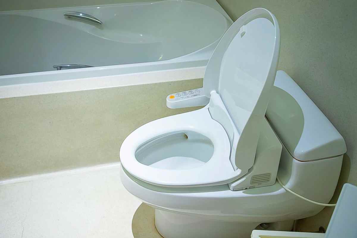 Toilet Cleaning in Japan: Will It Make You Rich?