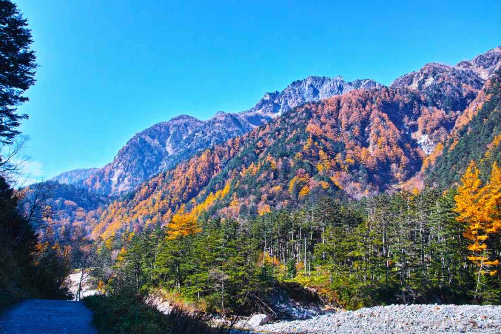 Yokoo trail Kamikochi