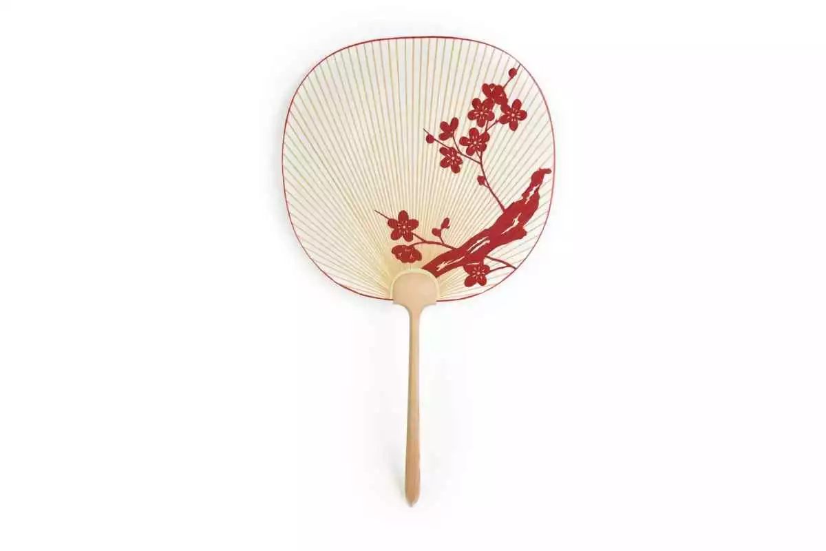 Ume Blossom Kyoto Uchiwa Fan | Japan Objects Store