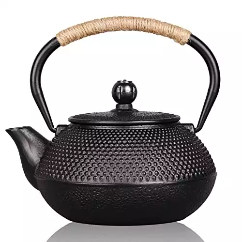 PARACITY  Cast Iron Japanese Teapot with Stainless Steel Infuser