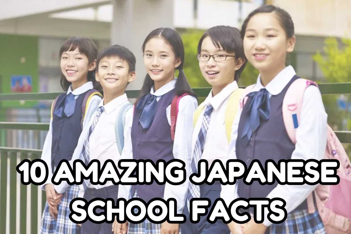 10 Amazing Facts About Schools in Japan: Unique Traditions and Educational Practices